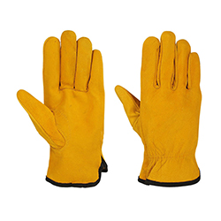 Driving Gloves